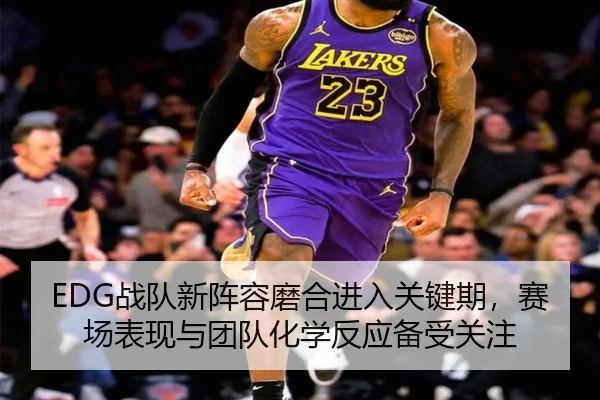 EDG战队新阵容磨合进入关键期，赛场表现与团队化学反应备受关注